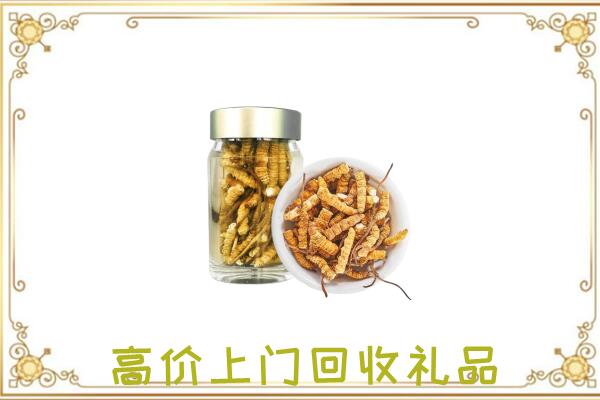 横山周边回收虫草